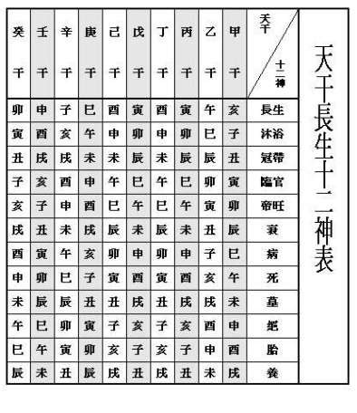 八字長生表|八字十二長生解讀——胎、養